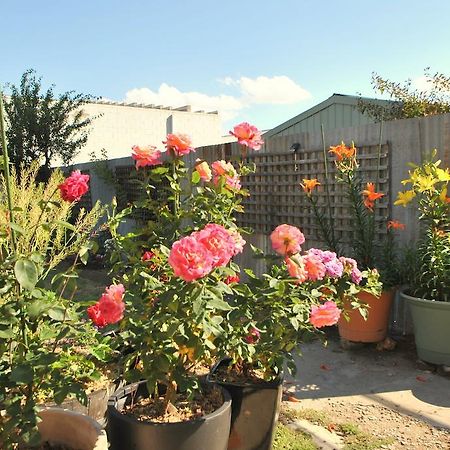 Cooma Cottage Extérieur photo