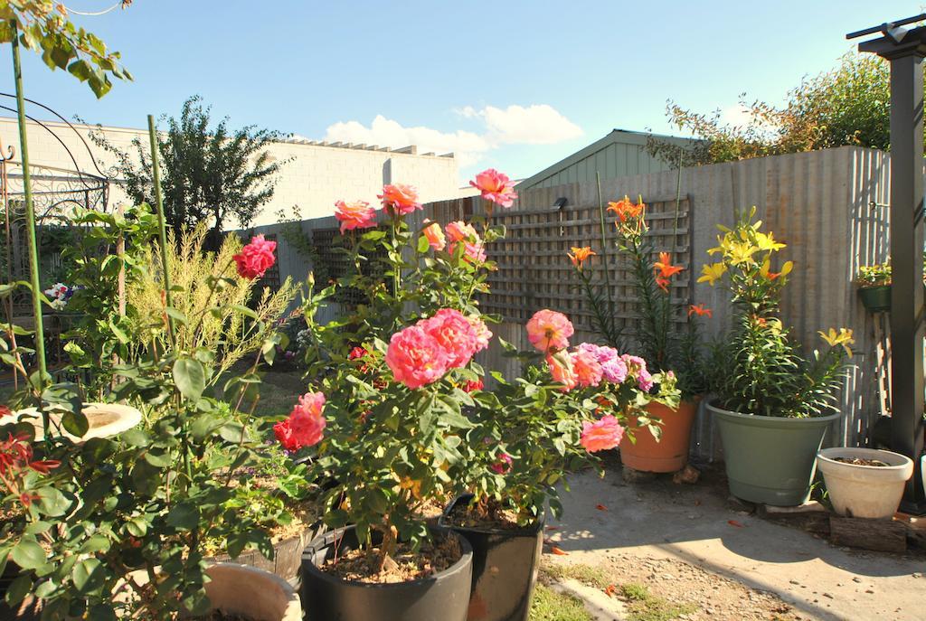 Cooma Cottage Extérieur photo